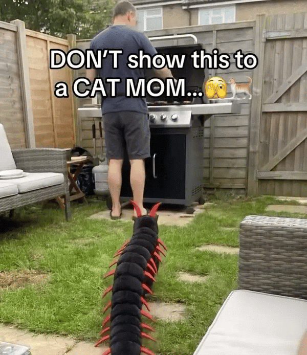 CentiKitty™ Halloween Costume